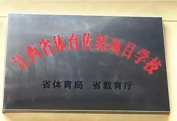 儿童篮球基本功训练内容怎么写的_0